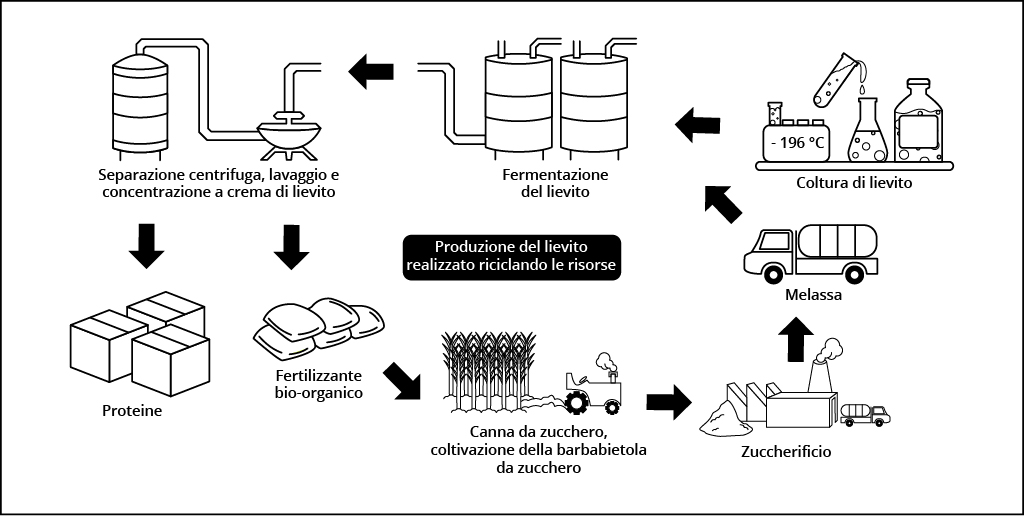 1 Produzione lievito ENG