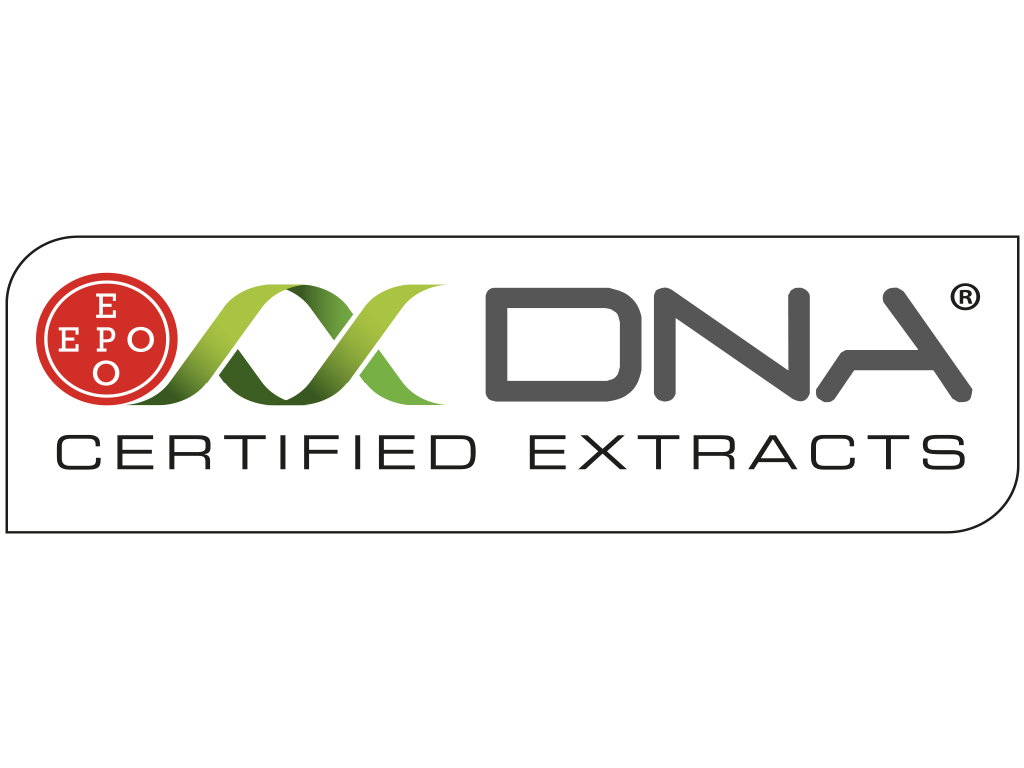 DNA