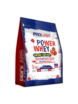 power_whey_amino_support-fragola-1kg