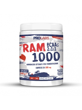 ram1000-500cpr