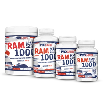 ram1000-4formati