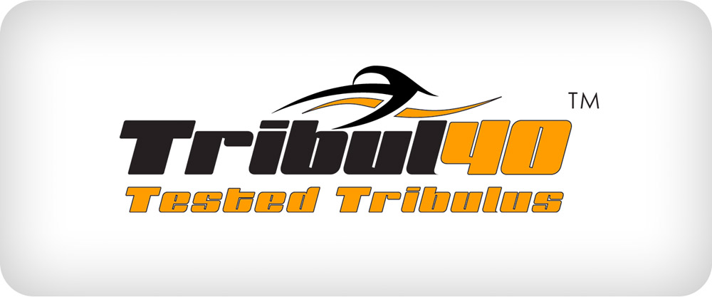 tribul40