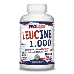 LEUCINE 1.000