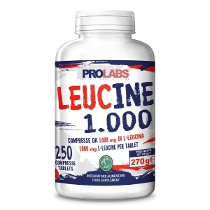 LEUCINE 1.000